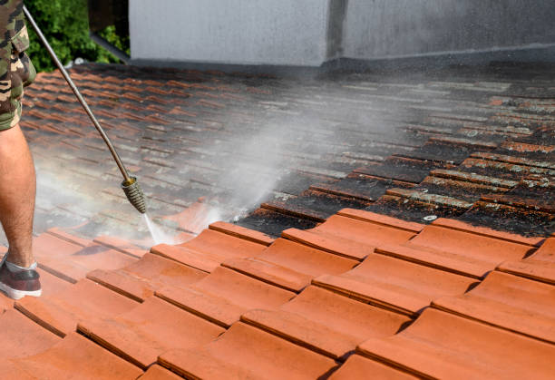 Best Residential Pressure Washing Services  in Shelton, WA