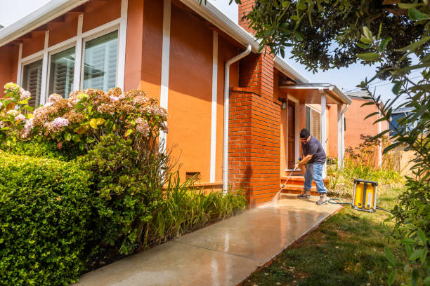 Best Deck Pressure Washing  in Shelton, WA